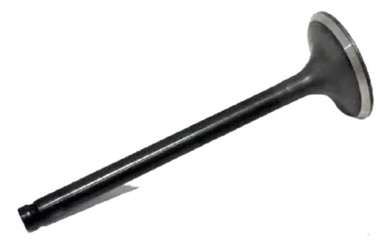 Valvula De Escape Fz 16 Dna India Calidad Original