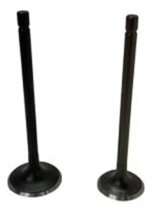 Juego Valvulas Vx 150 Scooters + Retenes Wstandar