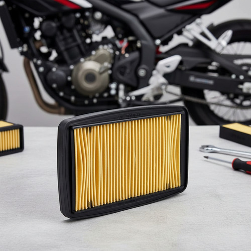 Filtro Aire Celulosa H.twister Cbx250 2018