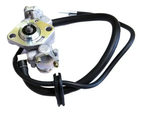 Bomba De Aceite Suzuki Ax 100